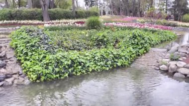 Emirgan, İstanbul, Türkiye. İstanbul 'un 8.2024 Renkli Baharı. Emirgan Korusu 'nda lale festivali coşkusu. İstanbul 'un Tarihsel Zenginliğiyle Doğa Buluşmasının İhtişamı. Emirgan Korusunda Bahar Günleri Lale Festivali ile Renkli. 