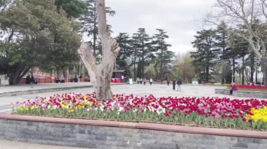 Emirgan, İstanbul, Türkiye. İstanbul 'un 8.2024 Renkli Baharı. Emirgan Korusu 'nda lale festivali coşkusu. İstanbul 'un Tarihsel Zenginliğiyle Doğa Buluşmasının İhtişamı. Emirgan Korusunda Bahar Günleri Lale Festivali ile Renkli. 