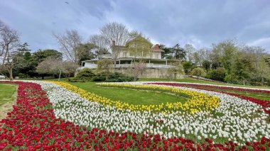 Emirgan, İstanbul, Türkiye. İstanbul 'un 8.2024 Renkli Baharı. Emirgan Korusu 'nda lale festivali coşkusu. İstanbul 'un Tarihsel Zenginliğiyle Doğa Buluşmasının İhtişamı. Emirgan Korusunda Bahar Günleri Lale Festivali ile Renkli. 