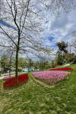 Emirgan, İstanbul, Türkiye. İstanbul 'un 8.2024 Renkli Baharı. Emirgan Korusu 'nda lale festivali coşkusu. İstanbul 'un Tarihsel Zenginliğiyle Doğa Buluşmasının İhtişamı. Emirgan Korusunda Bahar Günleri Lale Festivali ile Renkli. 