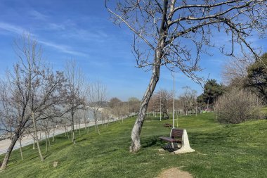 Florya, İstanbul, Türkiye. 31 Mart 2024. Yeşil doğası ve dinlenme alanlarıyla Florya kıyıları.