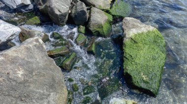 Yosun kaplı kayalardan gelen yumuşak akan suların sesiyle denize doğru bir yolculuk.