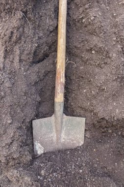Kürek toprağa saplanmış, yakın çekim, üst görüş. Toprağa kürek. Bahçıvanlık aletleri yerde..