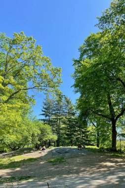 New York, ABD. 7 Mayıs 2024 Kültür, Sanat ve Eğlencenin Kalbinde Büyüleyici Şehir Macerası. Hiç Uyumayan Şehir. Tarih, Modernite ve Sonsuz Keşifler şehrine Seyahat. Dinamik Yaşamın Merkezi. New York.