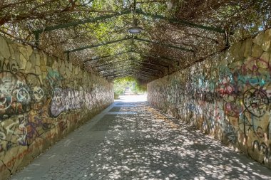 İstanbul, Türkiye. 18 Ağustos 2024 İstanbul, Goztepe 'deki çok katlı binalar arasında nefes kesici bir vaha. Göztepe Özgürlük Parkı. Park ziyaretçilerine zengin bitki örtüsü, yürüyüş yolları ve çocuk parklarıyla bir vaha hissi veriyor..