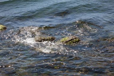 Kıyıya yakın yerlerde açık deniz, algler ve kayalar. Deniz kenarındaki temiz su, yosun ve kayalar net bir şekilde görülebilir. Temiz ve berrak sulardaki doğal detaylar.