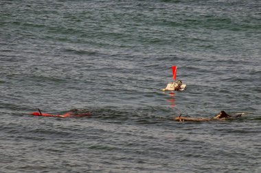 Dalgıçlar sualtı araştırması yapıyor. Sahildeki Dalgaların Altında. Dalgıçların denizde ve kıyıya yakın bir bölgede sualtı araştırmaları yaptıkları görülüyor..