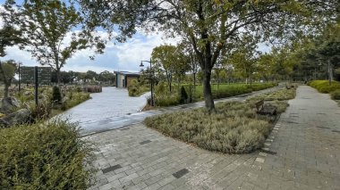 Atakoy, İstanbul, Türkiye. 30 Ağustos 2024. Ayama yaşam vadisi, Atakoy ilçesi. Çevresi çeşitli yeşil bitki ve ağaçlarla çevrili. İstanbul ili..