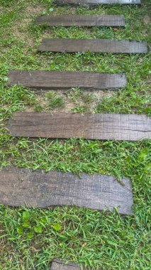 Doğadaki Tahta Merdivenler. Yeşilliğe yerleştirilmiş eski ahşap merdivenlerin dikey görüntüsü. Bu fotoğraf, insan yapımı yolların doğayla nasıl uyum içinde olabileceğini gösteriyor..