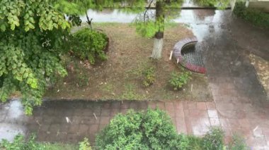 Yağmurlu bir gün. Şiddetli sağanak. Evin yemyeşil bahçesi. Yağmur damlalarının yere düştüğü görülebilir ve ağaçlar ve çalılar sırılsıklam olur..