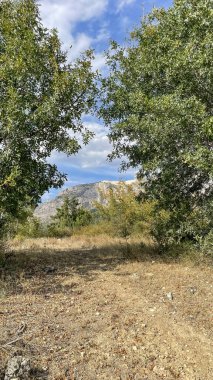 Harmankoys Yeşil Cennet. Türkiye 'nin Bilecik ilçesinde yer alan Harmanköy, Harmankaya Kanyonu' nda gizlenmiş doğal bir mucizedir. Bu fotoğraf köylerin yemyeşil doğayı ve barışçıl atmosferi yeşerttiğini gösteriyor. Harmankoy doğa aşıkları için ideal bir kaçış yeri..