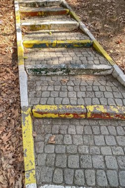 Doğaya Yaşlanmış Adımlar. Zamanda Bir Yol. İnsan yapımı yapılar üzerindeki zamanın etkisinin özünü yakalayın. Bu hatırlatıcı fotoğrafla, yıpranmış beton basamaklar, bir zamanlar canlanmış boya kalıntılarıyla süslenmiş.. 