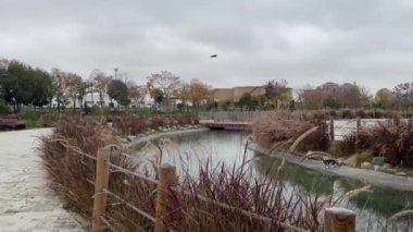 Atakoy, istanbul, Türkiye. 15 Kasım 2024 Ayamama Yaşam Vadisi 'nde yemyeşil bir tabiata sahip görkemli bir manzara ve dinlenme yerleri bulunmaktadır. İstanbul 'un Atakoy ilçesi..