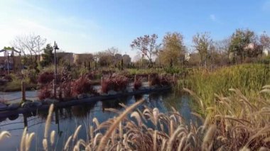 İstanbul, Türkiye. 1 Aralık 2024. İstanbul 'un kalbinde bir Yeşil Vaha. Ayamama Yaşam Vadisi ve Park. Atakoy 'un gizli cenneti olarak bilinen Ayamama Park şehir yaşamının stresinden kurtulmak isteyenler için ideal bir yerdir..