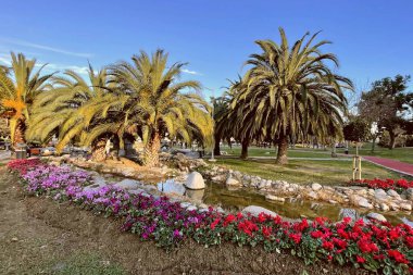 Atakoy, İstanbul, Türkiye. 9 Aralık 2024 Kazakistan Parkı. Yeşil Doğa ve Eğlence Alanı. Parkın yürüyüş yolları, küçük bir yapay gölet, yemyeşil doğa ve dinlenme alanları var..
