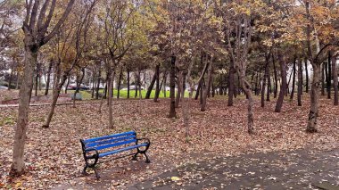 Atakoy, İstanbul, Türkiye. 10 Aralık 2024.Urban Oasis, Atakoy 'da. Bu görüntü, Atakoy ilçesindeki konut binaları arasında yer alan sakin bir parkı çekiyor. Park, sonbaharın sonları veya kış aylarının başlarını gösteren yapraksız ağaçlara sahip.. 