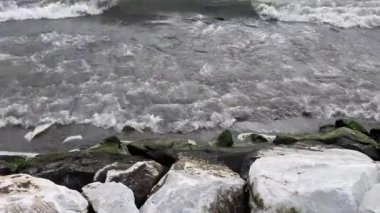 Fırtınalı Kıyı Huzuru. Bulutlu ve yağmurlu bir günde kayalık bir kıyı şeridinin engebeli güzelliğini tecrübe edin. Dalgalar kayalara çarparken deniz yosunları kıyıya yapışır ve dramatik ve sakin bir deniz manzarası yaratır. Gücü ele geçirmek için mükemmel. 