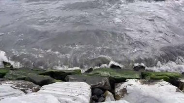 Fırtınalı Kıyı Huzuru. Bulutlu ve yağmurlu bir günde kayalık bir kıyı şeridinin engebeli güzelliğini tecrübe edin. Dalgalar kayalara çarparken deniz yosunları kıyıya yapışır ve dramatik ve sakin bir deniz manzarası yaratır. Gücü ele geçirmek için mükemmel. 