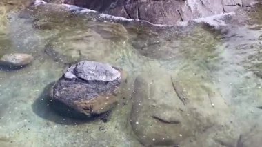 Florya, İstanbul, Türkiye, 9 Şubat 2025. İstanbul Büyükşehir Belediyesi 'ne ait Florya Sosyal Tesisleri Parkı' nda Huzurlu Bir Gün. İstanbul Büyükşehir Belediyesi 'nin yemyeşil parkındaki yapay şelale ve gölet manzarası. 