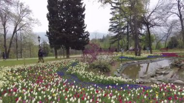 İstanbul, Türkiye. 5 Nisan 2025. Emirgan Korusu, her yıl Nisan ayında düzenlenen lale Festivali 'yle ünlüdür. Renkli bir isyanda açan laleler koruluğu çiçek bahçesine çevirir. Doğal güzelliği ve ziyaretçileriyle koruluktan muhteşem manzaralar..