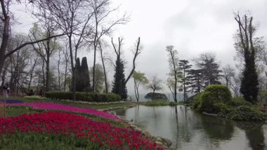 İstanbul, Türkiye. 5 Nisan 2025. Emirgan Korusu, her yıl Nisan ayında düzenlenen lale Festivali 'yle ünlüdür. Renkli bir isyanda açan laleler koruluğu çiçek bahçesine çevirir. Doğal güzelliği ve ziyaretçileriyle koruluktan muhteşem manzaralar..
