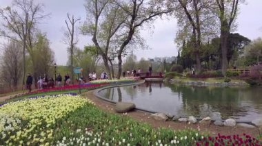 İstanbul, Türkiye. 5 Nisan 2025. Emirgan Korusu, her yıl Nisan ayında düzenlenen lale Festivali 'yle ünlüdür. Renkli bir isyanda açan laleler koruluğu çiçek bahçesine çevirir. Doğal güzelliği ve ziyaretçileriyle koruluktan muhteşem manzaralar..