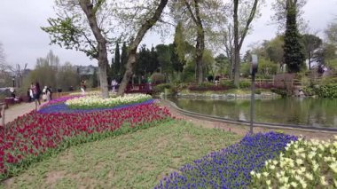 İstanbul, Türkiye. 5 Nisan 2025. Emirgan Korusu, her yıl Nisan ayında düzenlenen lale Festivali 'yle ünlüdür. Renkli bir isyanda açan laleler koruluğu çiçek bahçesine çevirir. Doğal güzelliği ve ziyaretçileriyle koruluktan muhteşem manzaralar..