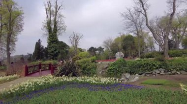 İstanbul, Türkiye. 5 Nisan 2025. Emirgan Korusu, her yıl Nisan ayında düzenlenen lale Festivali 'yle ünlüdür. Renkli bir isyanda açan laleler koruluğu çiçek bahçesine çevirir. Doğal güzelliği ve ziyaretçileriyle koruluktan muhteşem manzaralar..