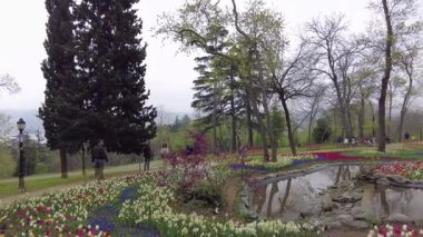 İstanbul, Türkiye. 5 Nisan 2025. Emirgan Korusu, her yıl Nisan ayında düzenlenen lale Festivali 'yle ünlüdür. Renkli bir isyanda açan laleler koruluğu çiçek bahçesine çevirir. Doğal güzelliği ve ziyaretçileriyle koruluktan muhteşem manzaralar..