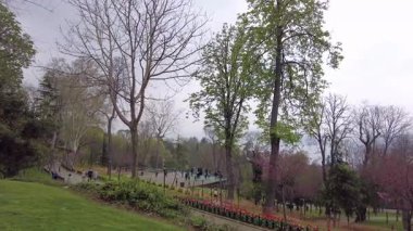 İstanbul, Türkiye. 5 Nisan 2025. Emirgan Korusu, her yıl Nisan ayında düzenlenen lale Festivali 'yle ünlüdür. Renkli bir isyanda açan laleler koruluğu çiçek bahçesine çevirir. Doğal güzelliği ve ziyaretçileriyle koruluktan muhteşem manzaralar..