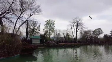 İstanbul, Türkiye. 5 Nisan 2025. Emirgan Korusu, her yıl Nisan ayında düzenlenen lale Festivali 'yle ünlüdür. Renkli bir isyanda açan laleler koruluğu çiçek bahçesine çevirir. Doğal güzelliği ve ziyaretçileriyle koruluktan muhteşem manzaralar..