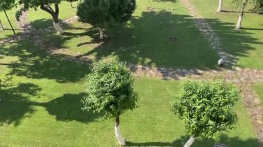 İstanbul, Türkiye. İstanbul 'un 26 Mayıs 2025 Ataky ilçesi, çağdaş mimari ve yaşamın erken bir örneği. Çağdaş konut binalarının yemyeşil ile harmanlandığı İstanbul' un Ataky kentsel planlama kavramlarını gösteren manzaralı bir manzara..