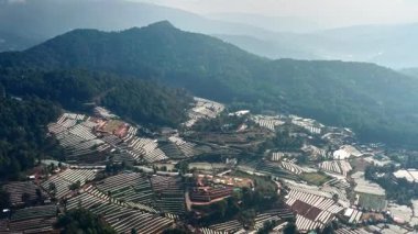 Doi Inthanons 'ın insansız hava aracı görüntüleri Tayland' daki tarlaları ve sisli dağları taradı. Yeşillik yemyeşil, koruyucu çarşaflarla çiftçilik ve manzara boyunca dolambaçlı yollar gösteriyor. Bulanık sabah ışığı