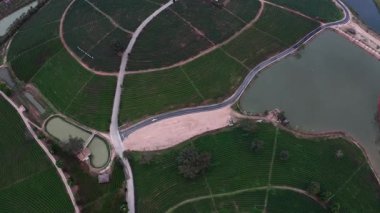 Bir dron, dalgalı arazide düzgün sıraları olan yemyeşil çay tarlalarını yakalar. Dolambaçlı yollar sakin göletler ve bir çardaktan geçerken, daha büyük bir su kütlesi manzarayı yansıtıyor, harmanlıyor.