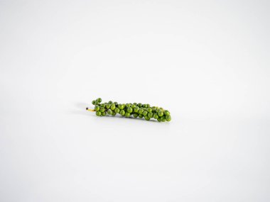 Sağlığa odaklı organik bileşenleri vurgulamak için beyaz arka planda bulunan yoğun böğürtlenli yatay yeşil bir biber filizi..