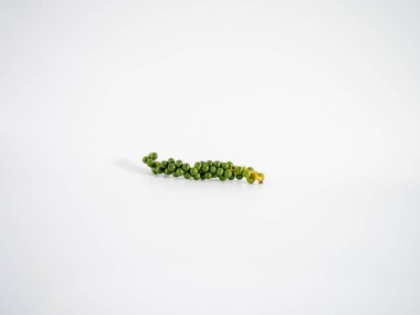 Düz yeşil biber dalı, tutarlı böğürtlen aralığı, sıralamayı, berraklığı ve yemek pişirmeye uygun saflığı yansıtacak şekilde dizilmiş..