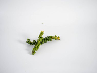 Taze yeşil biberlerden oluşan çatallı bir dal temiz beyaz bir zemin üzerinde uzanır, doğal kümelenme ve gıda veya sağlık için bitkisel özelliklerini sergiler..
