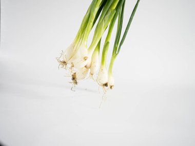 Sağlıklı kökleri ve yukarı bakan yeşil tepeleri olan, beyaz arkaplan merkezli bir soğan kümesi. Bileşimi yiyecek, bitki veya organik içerik için temiz, minimal ve idealdir.