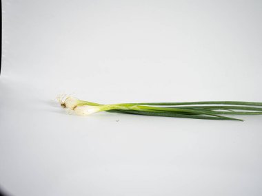 Taze soğan sapının parlak tonlarla yerleştirilmesi, beyaz arka planda hafifçe aydınlatılması. Bileşimi yiyecek, bitki veya organik içerik için temiz, minimal ve idealdir.