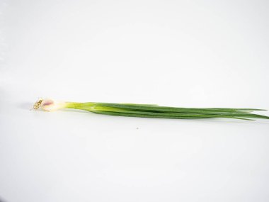 Tek bir taze soğanın üst görüntüsü, temiz beyaz bir zemin boyunca uzanır, en az tarzda. Bileşimi yiyecek, bitki veya organik içerik için temiz, minimal ve idealdir.