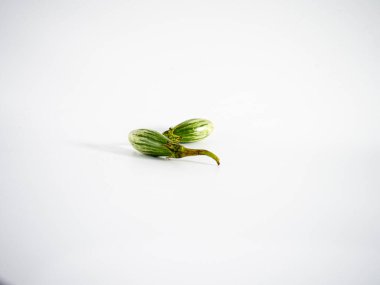 Minimum Tayland yeşil patlıcanları bitkisel gıdalar için izole edilmiş ve temiz gıda veya organik malzeme kavramı için çiftçilik kavramı