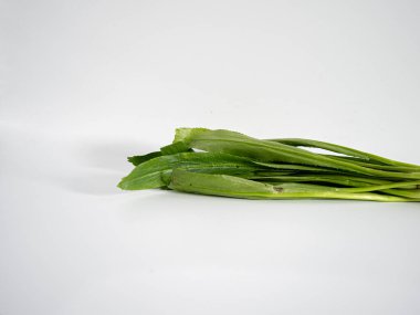Bright photo of culantro with herbal texture focus. Leaves arranged to show serration and symmetry. Great for nutrition-themed artwork.