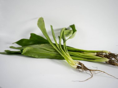 Detailed top-down image of culantro herb. Used in Southeast Asian cuisine and known for detox benefits. Displayed in raw, unwashed state.