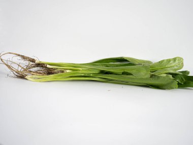 Culantro bunch photographed under natural lighting showing detailed leaves and root base. Appropriate for content focused on herbs, Thai cuisine, or detox diet visuals.