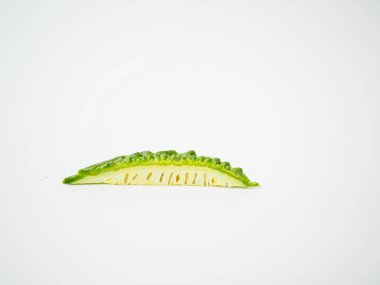 Dilimlenmiş acı kabağın yakın plan görüntüsü beyaz tohum iç yüzünü ve beyaz stüdyo arka planında çıkıntılı yüzeyini gösteriyor. Yemek içeriği, bitki görselleri ve bitki tabanlı bilgi grafikleri için harika.