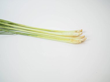 Net bir şekilde yakalanmış saplarla eğil. Gıda, sağlık veya beslenme teması kullanımı için görünür bitki detayları içeren temiz beyaz arkaplan üzerine düzenlenmiştir.