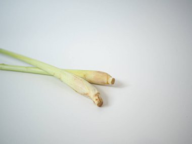 Taze bir Tayland limonotu parçası ve soğan kökü ucu dik olarak sunuldu. Bitkisel şifa içeriğinde veya geleneksel Tayland tarifi görsellerinde kullanılmak üzere tasarlanmıştır..