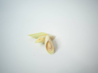 Stüdyo çekimlerinde, doğal aroma ve bitkisel görünüşü sergilemek için, dilimlenmiş üstleri olan Tayland limonotları çekiliyor. Malzeme temelli projeler veya ürün tasarımı için uygundur.