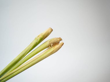 İki yeşil limon otu sapı, kök uçlarıyla beyaz yüzeyde çapraz hizalanarak doğal formda gösterilmiş. Basit yerleşim düzeni gıda paketleri veya bitkisel kavramlar için iyi çalışır..