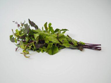 Kırmızı Tayland fesleğeni demeti gevşek bir şekilde mutfak sunumu, bitkisel etiketler veya vejetaryen gıda eğitimi için gösterilen çiçek uçlarıyla süslenmiştir.